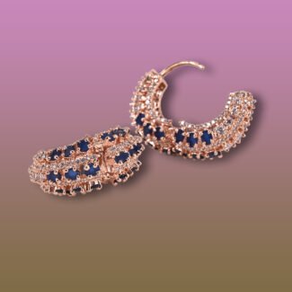 Designer Hoop Earrings